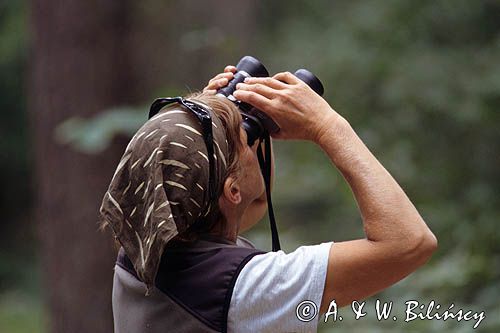 birdwatching, obserwator przyrody
