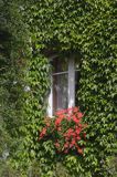 okno w Audierne, Bretania, Francja,