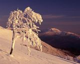 na połoninie Caryńskiej, Bieszczady