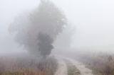 droga we mgle, Pojezierze Bytowskie, Kaszuby