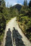 na szlaku w Tatrach, cienie ludzi na szlaku, na niebieskim szlaku do Czarnego Stawu Gąsienicowego