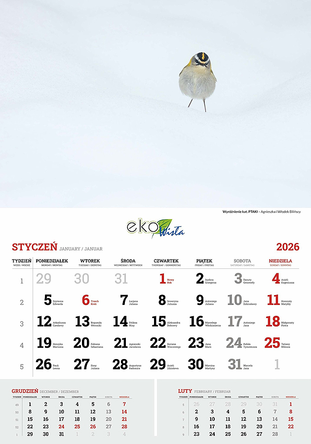 PPPkalendarz2026zniczek_fb.jpg
