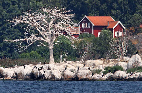 Szwecja - wybrzeże szkierowe. Bank zdjęć, Bilińscy