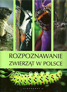 rozpzwwpol.jpg