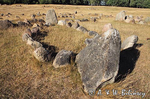 Aalborg, Lindholm Høje. Cmentarzysko Wikingów. Viking burial site. Limfjord, fot A&W Bilińscy