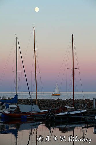 Marselisborg Havn, Aarhus, Arhus, Jutlandia, Dania, port