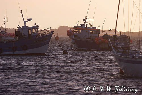 kutry i jachty na bojach w ujściu rzeki L' Aber Wrac'h, Bretania, Francja
