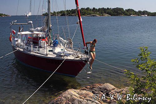Safran w zatoce Bano On w archipelagu Foglo, Alandy, Finlandia Foglo, Alands, Finland