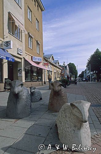 Owce na deptaku Torggatan w Mariehamn na Alandach, Finlandia