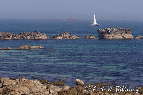 jachtw cieśninie Swinge przy wyspie Alderney, Channel Islands, Anglia, Wyspy Normandzkie, Kanał La Manche