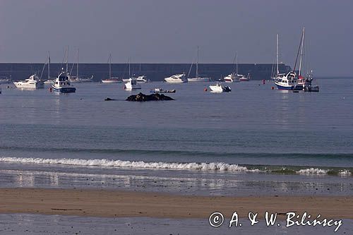 zatoka Braye na wyspie Alderney, Channel Islands, Anglia, Wyspy Normandzkie, Kanał La Manche