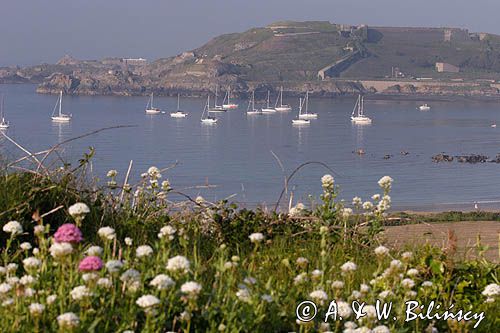 zatoka Braye na wyspie Alderney, Channel Islands, Anglia, Wyspy Normandzkie, Kanał La Manche