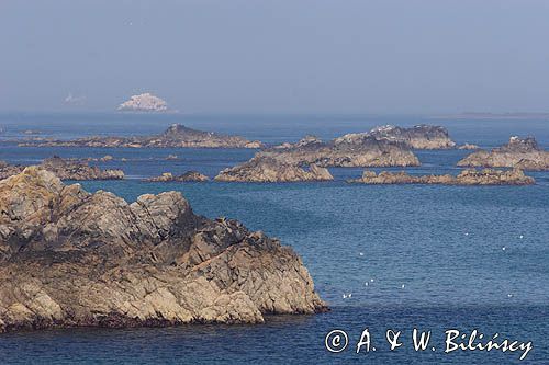 cieśnina The Swinge i wybrzeże Platte Saline wyspy Alderney, Channel Islands, Anglia, Wyspy Normandzkie, Kanał La Manche