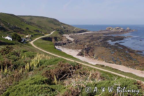 Zatoka i Fort Clonque, wyspa Alderney, Channel Islands, Anglia, Wyspy Normandzkie, Kanał La Manche