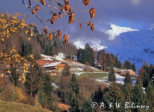 Samoens w Alpach Francuskich, górna Sabaudia, Francja La Haute Savole