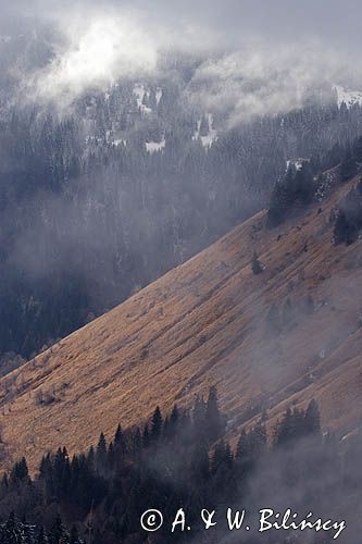 Alpy Francuskie, Rhone Alps, Górna Sabaudia, La Haute Savoie, widok z wioski Samoens