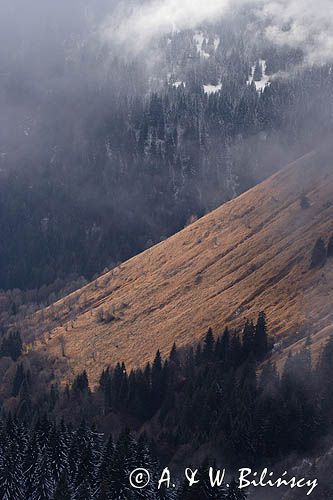 Alpy Francuskie, Rhone Alps, Górna Sabaudia, La Haute Savoie, widok z wioski Samoens