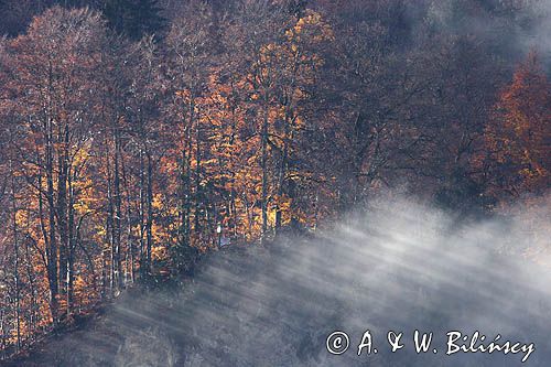 Alpy Francuskie, Rhone Alps, Górna Sabaudia, La Haute Savoie