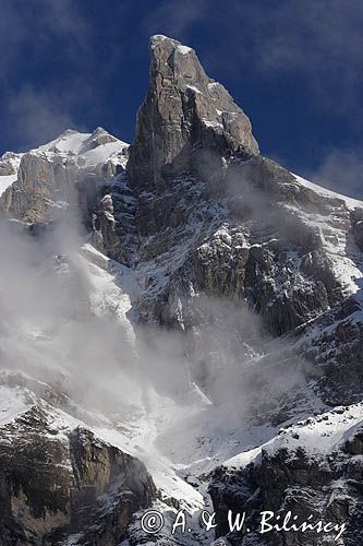 Le Teneverge, Fer a Cheval, Alpy Francuskie, Rhone Alps, Górna Sabaudia, La Haute Savoie, La cosne aux Chamoix