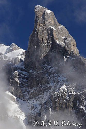 Le Teneverge, Fer a Cheval, Alpy Francuskie, Rhone Alps, Górna Sabaudia, La Haute Savoie, La cosne aux Chamoix