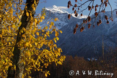 Pointe de Sale, Tete A'L'ane Alpy Francuskie, Rhone Alps, Górna Sabaudia, La Haute Savoie