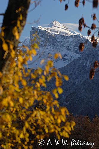 Pointe de Sale, Tete A'L'ane Alpy Francuskie, Rhone Alps, Górna Sabaudia, La Haute Savoie