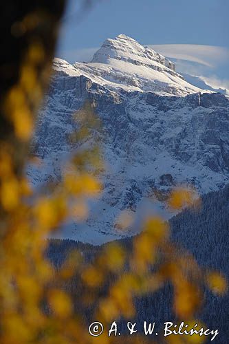 Pointe de Sale, Tete A'L'ane Alpy Francuskie, Rhone Alps, Górna Sabaudia, La Haute Savoie