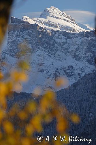 Pointe de Sale, Tete A'L'ane Alpy Francuskie, Rhone Alps, Górna Sabaudia, La Haute Savoie