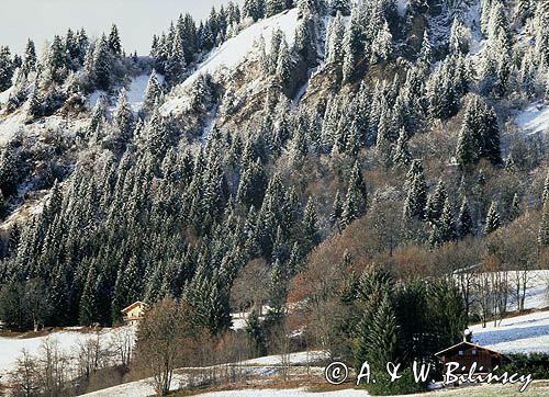 Alpy francuskie, Górna Sabaudia, La Haute Savoie