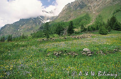 Park Narodowy Gran Paradiso