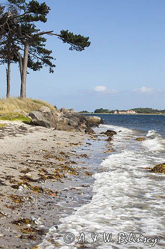 Plaża koło Horuphavn na wyspie Als, Mały Bełt, Dania