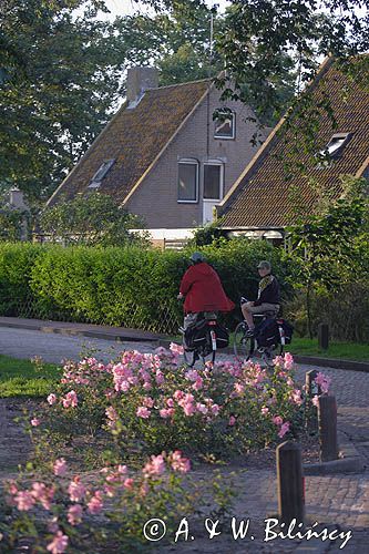 rowerzyści w Nes, Wyspa Ameland, Wyspy Fryzyjskie, Holandia, Waddensee
