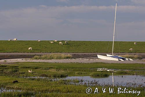 odpływ, Wyspa Ameland, Wyspy Fryzyjskie, Holandia, Waddensee, Morze Wattowe