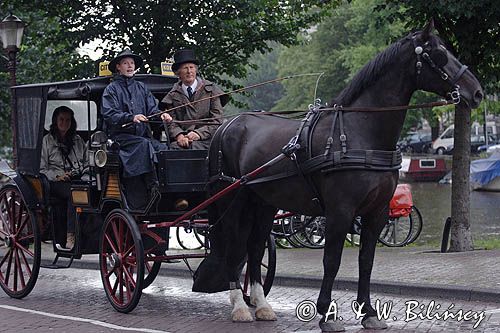 dorożka nad kanałem, Amsterdam, Holandia