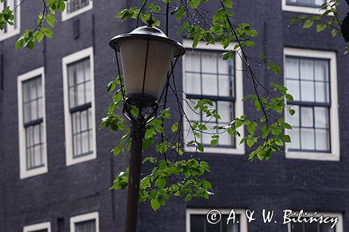 latarnia uliczna i kamienice, Amsterdam, Holandia
