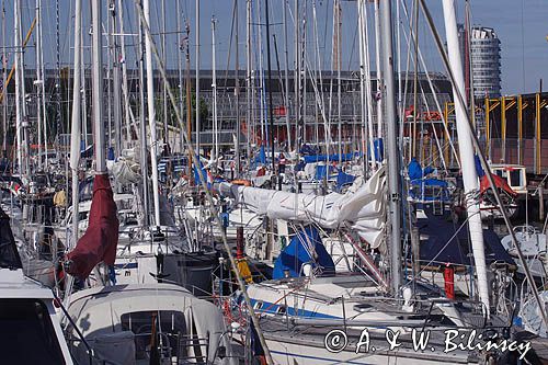 zatłoczona Marina Sixhaven, Amsterdam, Holandia