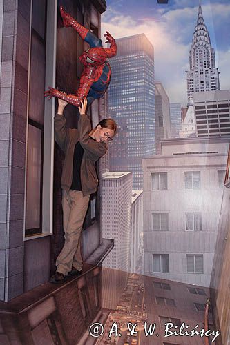 spotkanie ze Spidermanem w Muzeum Figur Woskowych - Madame Tussauds, Amsterdam, Holandia