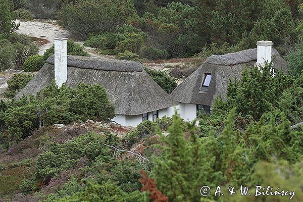 Na wyspie Anholt, Dania