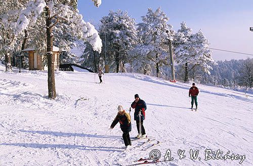 Bieszczady, Góry Słonne Arłamów narciarze