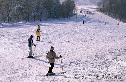 Bieszczady, Góry Słonne Arłamów narciarze