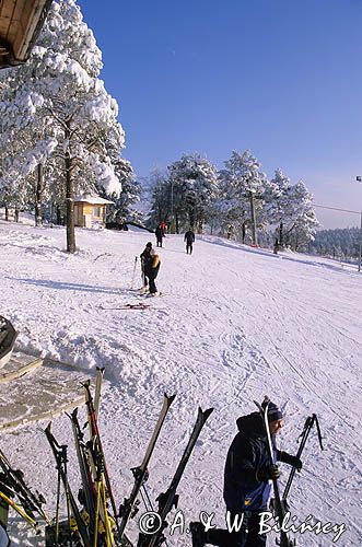 Bieszczady, Góry Słonne Arłamów narciarze