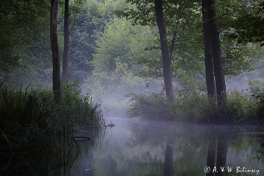 Rzeka Babant, Mazury