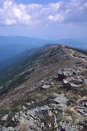 Babia Góra, Babiogórski Park Narodowy