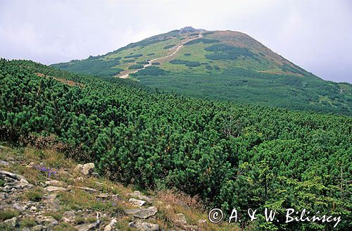 Beskidy, Babia Góra, Matka Niepogód