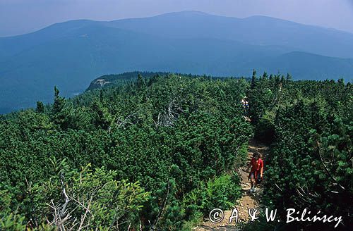 Babia Góra beskid żywiecki