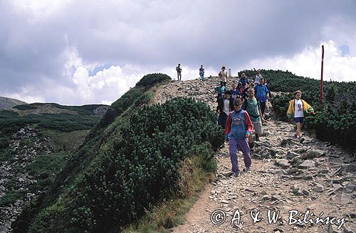 Babia Góra beskid żywiecki