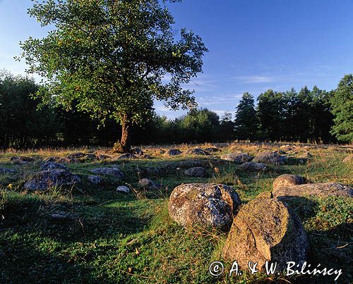 głazowisko Bachanowo - Suwalski Park Krajobrazowy