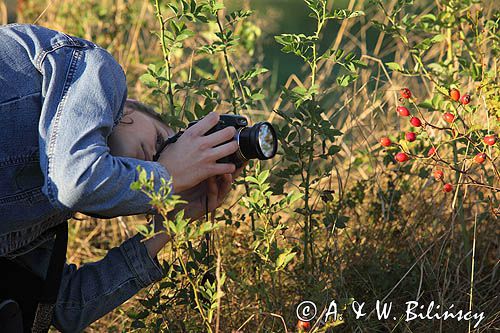 Młodzi aktywni i kreatywni, Bieszczadzka Akademia Fotografii, GOK Czarna zajęcia trzecie 2.10.2015 w terenie