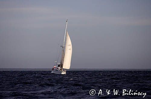 jacht s/y Bagheera