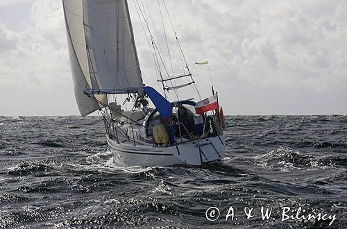 jacht s/y Bagheera